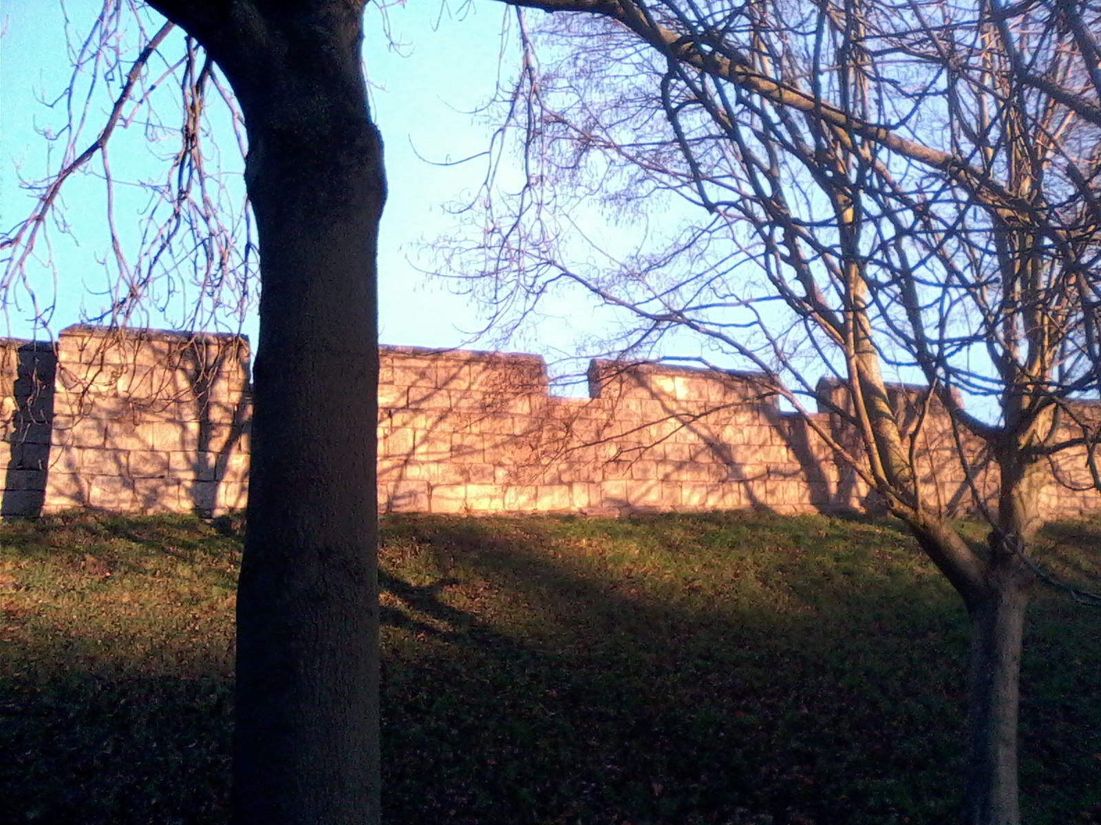 20181210 wallsun2 moar sun on wall