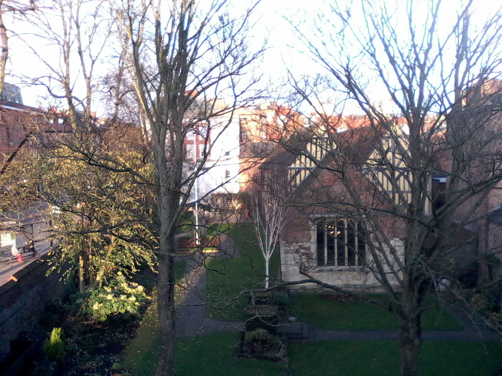 sun on the neighbourhood