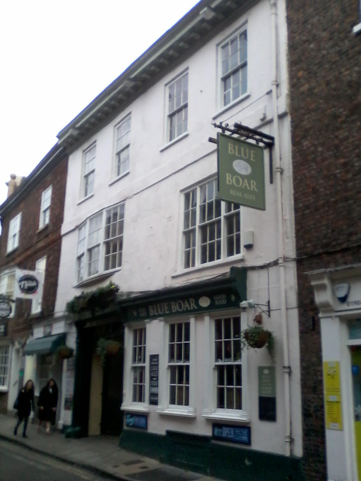 Blue Boar