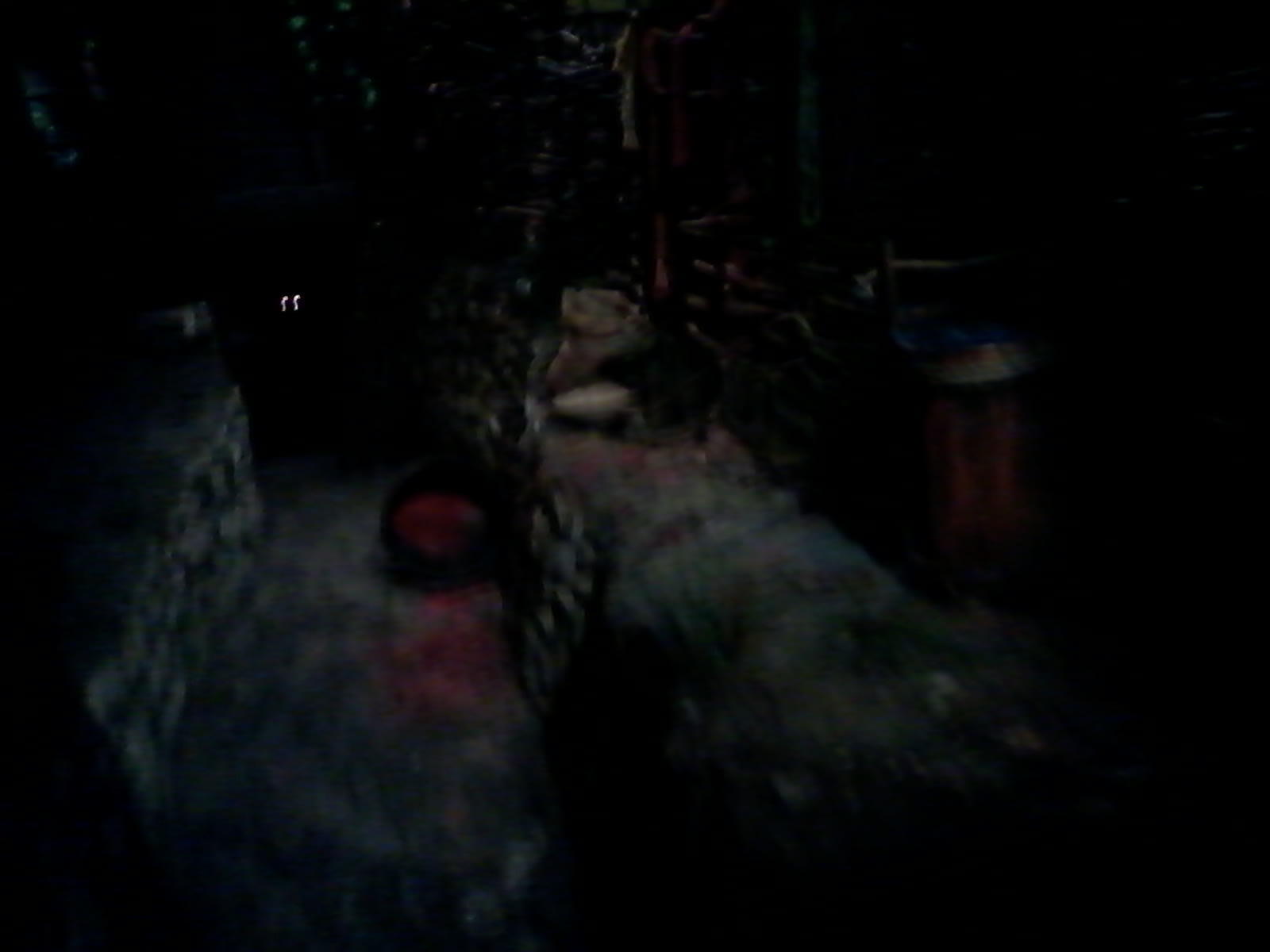 Jorvik cellar2 cellar repro