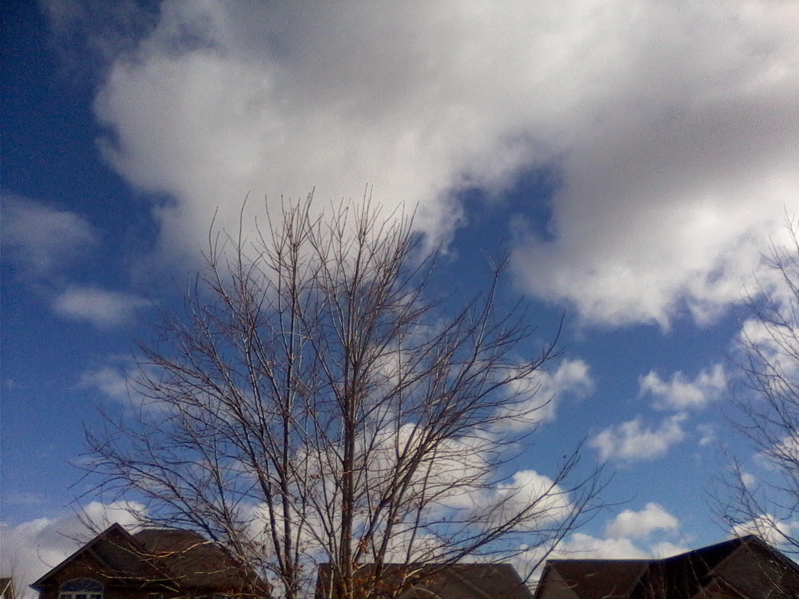 big sky 2