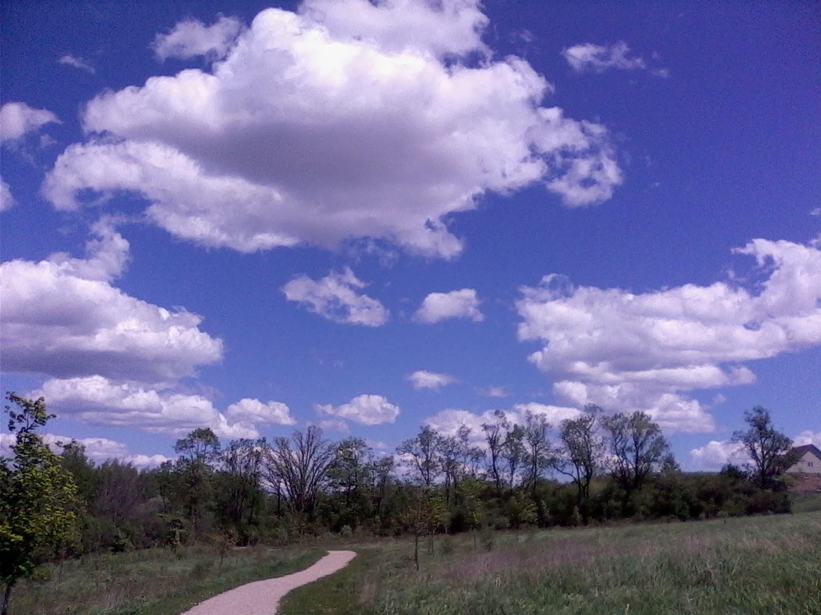 nice day path