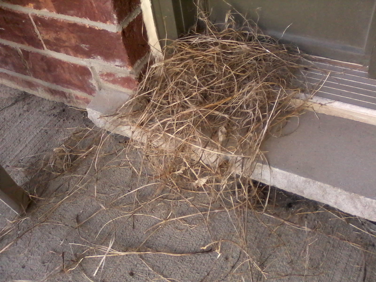 bundle of straw