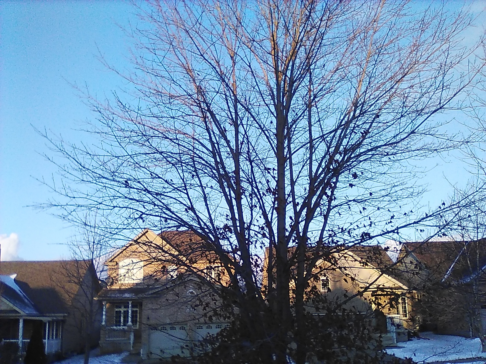 Jan 24/23
