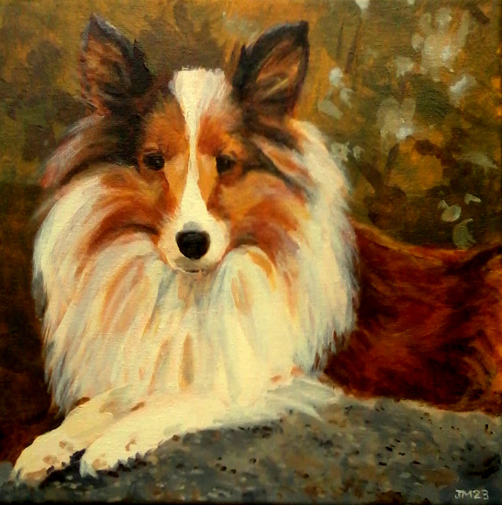 sheltie acrylic #42