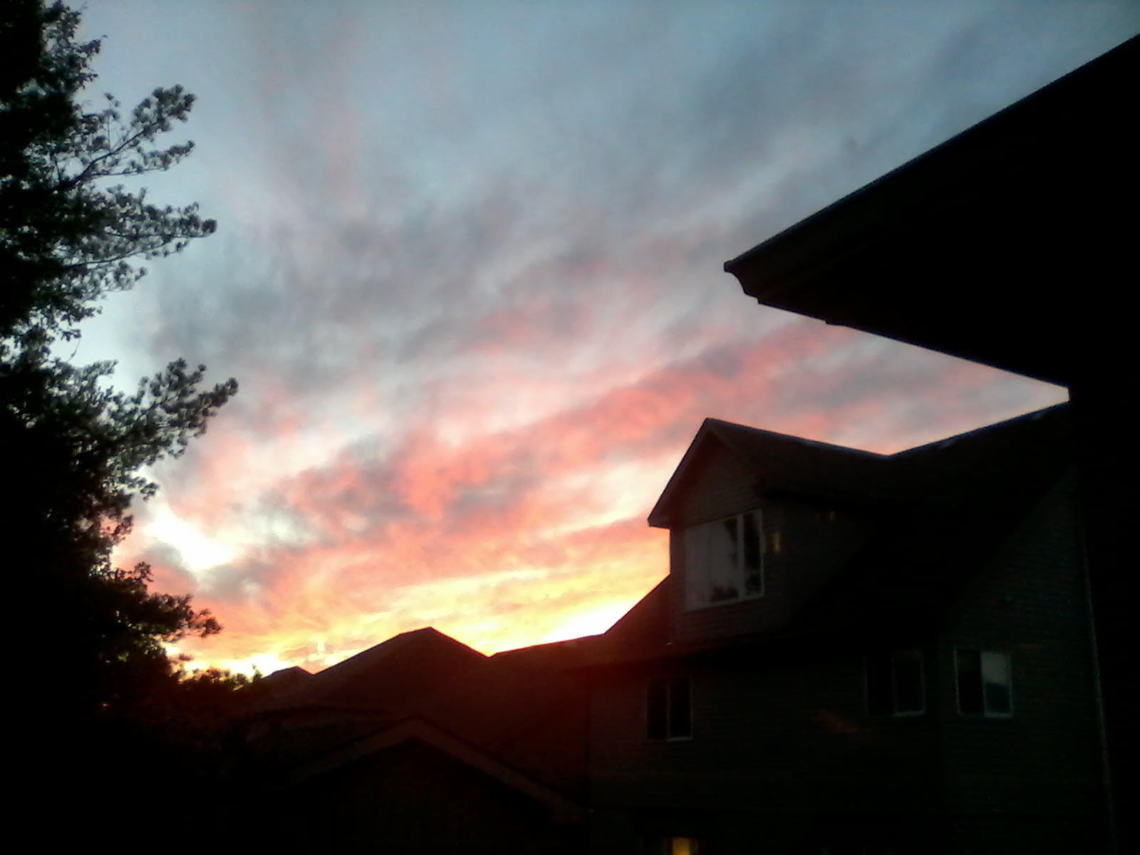 sunset from my back window